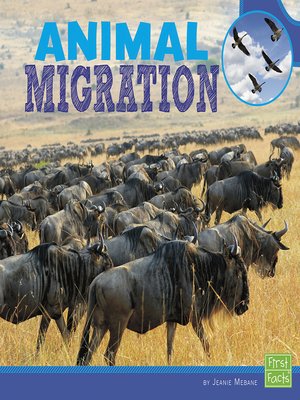 cover image of Animal Migration